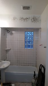 Arizona Total Home Restoration - Mesa, AZ - Mold in your home - Black mold on tub tiles